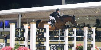 Margie Engle and Royce Dominate $205,000 Holiday & Horses Grand Prix CSI 4* presented by Palm Beach County Sports Commission