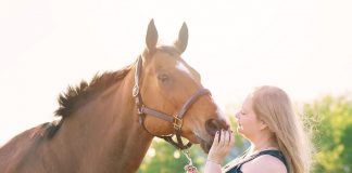 Losing Your Heart Horse: Where Do You Go With a Broken Heart?