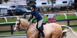 Life Lessons in the Barn: Being a Good Steward for the Voiceless