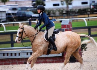 Life Lessons in the Barn: Being a Good Steward for the Voiceless