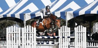 The Long Reach of Langer Equestrian Group