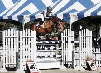 The Long Reach of Langer Equestrian Group