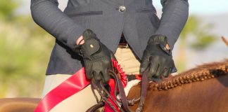 The Horse Show Prizes Adult Amateurs Really Want
