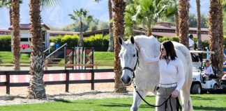 Swipe Right: What Those Horse Photos in Dating Profiles Say About Equestrians