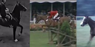 Throwback Thursday: 1960’s Hunter/Jumpers