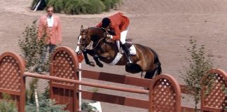 Touch of Class: Show Jumping’s Great Thoroughbred Mare
