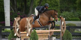 Jordan Allen and Chevito Rock the Bruno Delgrange Large Junior Hunter 16-17 3’6” Division