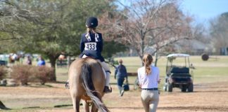 Barn Rats Over Mean Girls: Life Lessons from Growing Up in a Barn