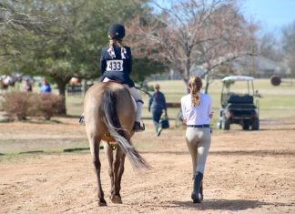 Barn Rats Over Mean Girls: Life Lessons from Growing Up in a Barn