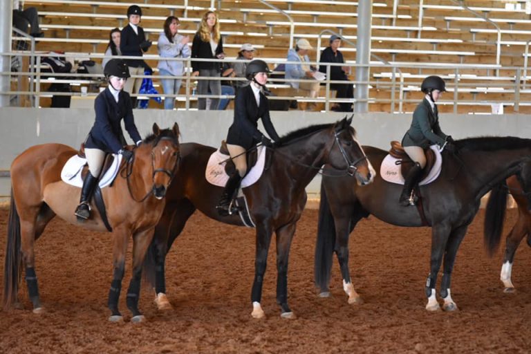 What is IEA? The Interscholastic Equestrian Association Explained The