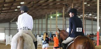 Handling Barn Drama: Protecting Your Happy Place