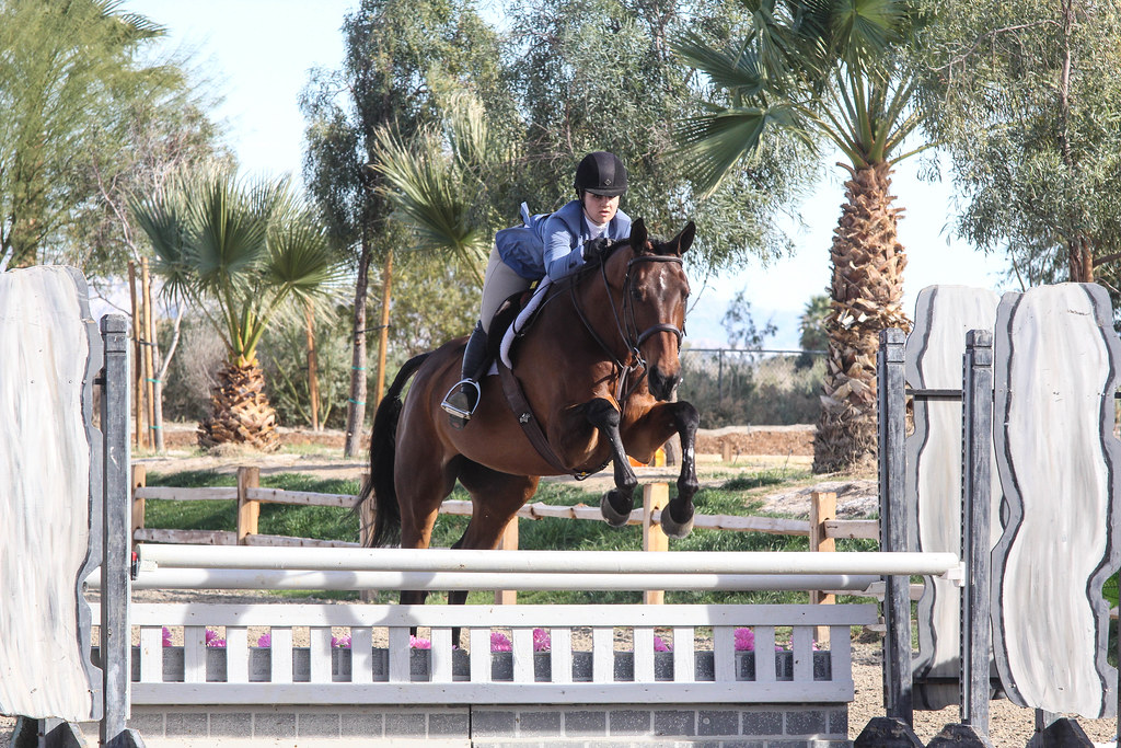 Catch Riding… What are the Risks and Possible Protections? The Plaid