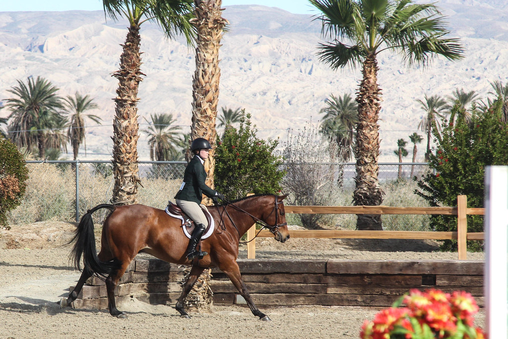 Catch Riding… What are the Risks and Possible Protections? The Plaid