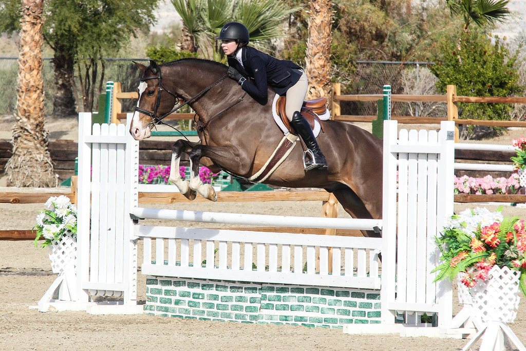 Catch Riding… What are the Risks and Possible Protections? The Plaid