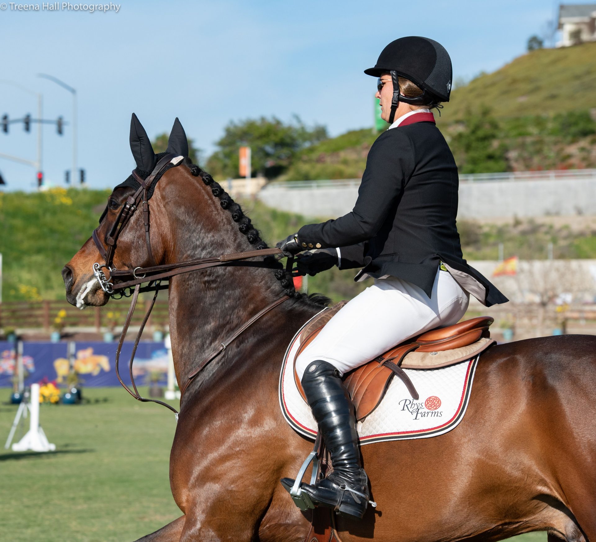 How Being a Perfectionist Made Me a Better Rider - The Plaid Horse Magazine