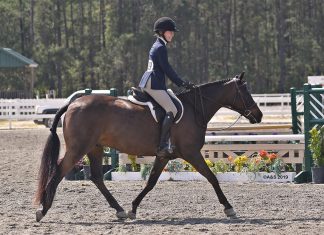 Lessons in the Learning: When Figuring Out the Pony is the Journey, Not the Destination