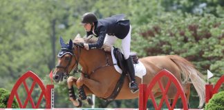 Brian Moggre Blazes to $36,000 Welcome Speed CSI3* Win With MTM Flutterby