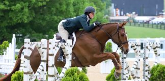 Emily White and Scandeek Seal Win in Ariat National Adult Medal