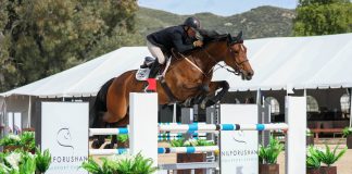 Will Simpson and Whoop De Doo Emerge Victorious in $5,000 CWD 1.35m Welcome Stake at Temecula Valley National Horse Show