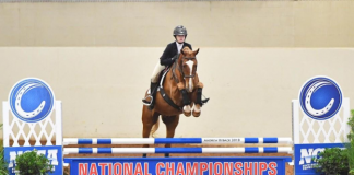 ECAC Announces New Equestrian Conference