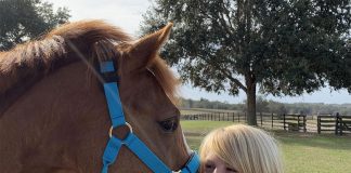 When the Dark Side Works: Buying a Green Broke 3yo Pony for My Kid