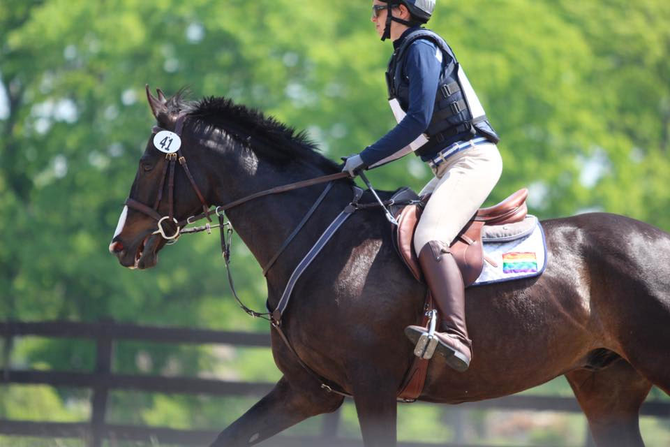 Tack Cleaning Tips for When You’ve Really Got to Make it Sparkle The