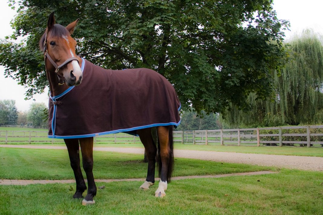 The Clothes Horse Decades of Excellent Craftsmanship Bring Lifelong