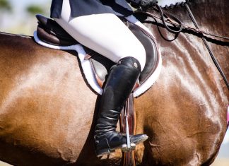 Pony Mom 101 – Equitation Basics Explained