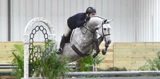 Ashley Holsinger Deferred Law School for Horses and Never Looked Back