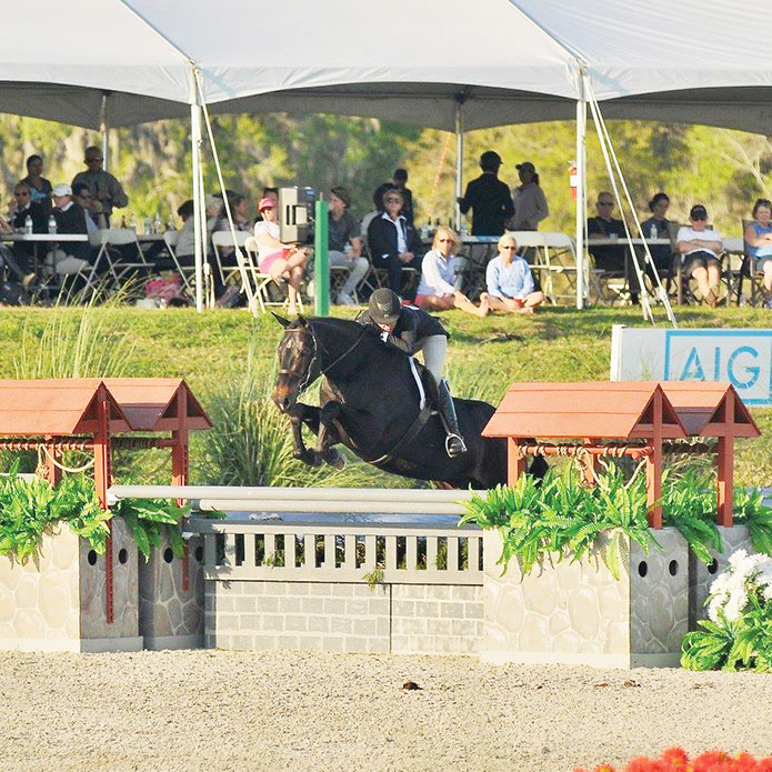 Four Winds Farm and Equine Hospital Offers the Complete Package of