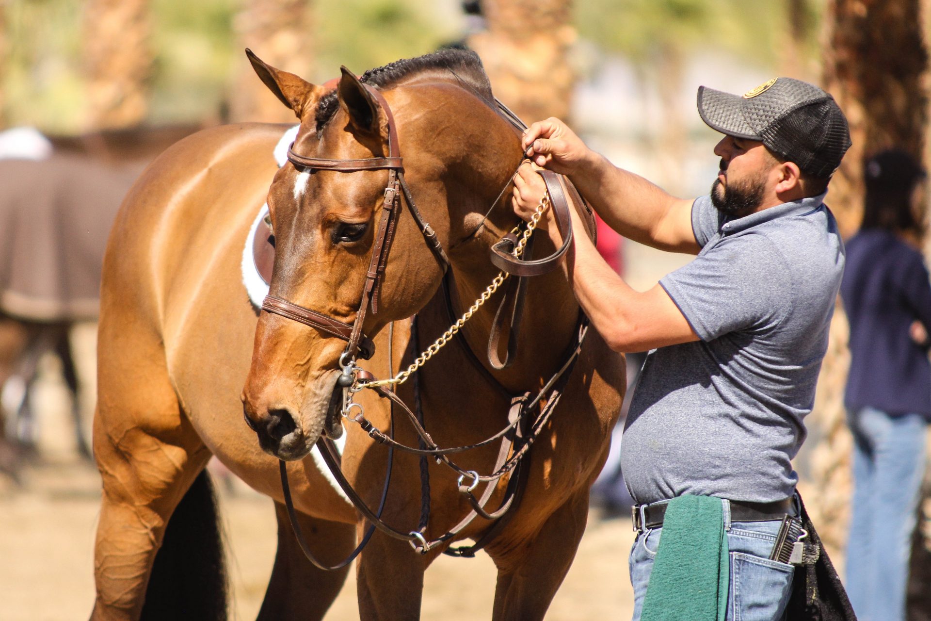 Want the best horse care? You need the best horse care takers! The