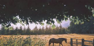 Like Honey: A Story on the Importance of Kindness