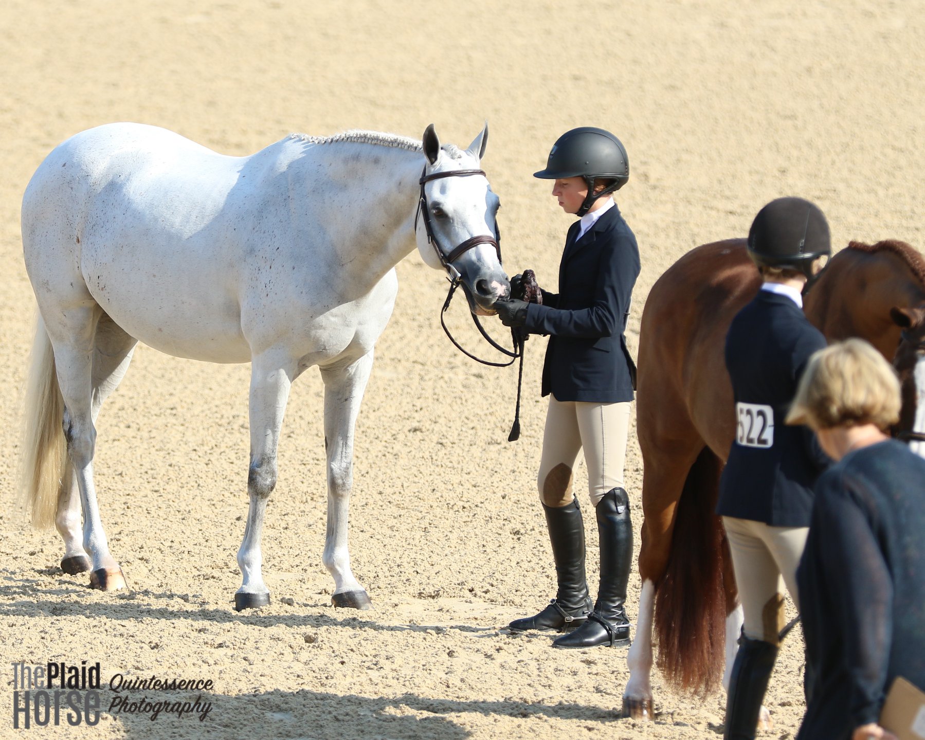 No Matter What Happens, Pony Finals Leaves Lasting Memories The Plaid