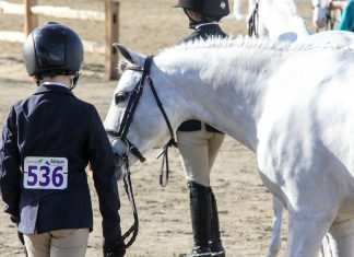 PonyMom 101: Is it Better to Lease or Buy Your First Pony?