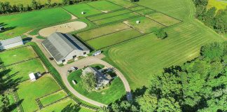 Visible Homes: Breaking New Grounds in Real Estate