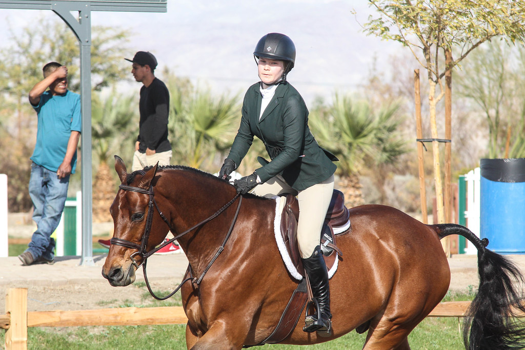 How to Get That Shiny Coat for Your Horse The Plaid Horse Magazine