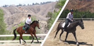 A Tale of Two OTTBs: How I Got My Amateur Grit Back
