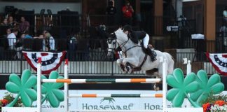 $134,000 Horseware Ireland Grand Prix CSI 3* Win Was in the Cards for Alison Robitaille and Ace at TIEC