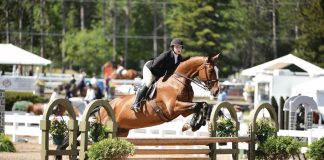 Grafton Ridge: Michael DelFiandra and Vanessa Roman Build a Positive Team for Every Kind of Rider