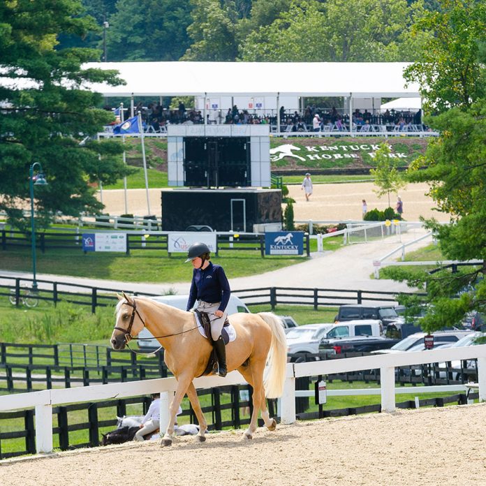 Inside the Numbers How Much Does Pony Finals Cost? The Plaid Horse