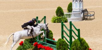 Recipients Announced for 2020 USHJA Gochman Grant for USEF Pony Finals presented by Collecting Gaits Farm