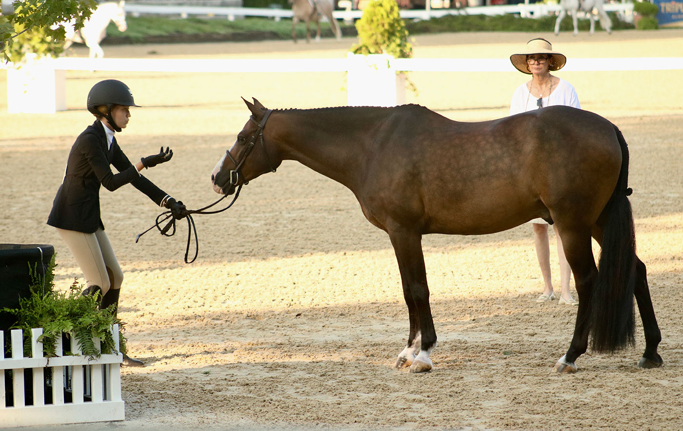 Mistakes Happen (Even at Pony Finals) The Plaid Horse Magazine