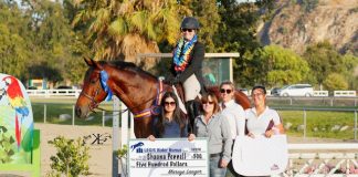 Shauna Pennell and Top Story Top the USHJA National Hunter Derby