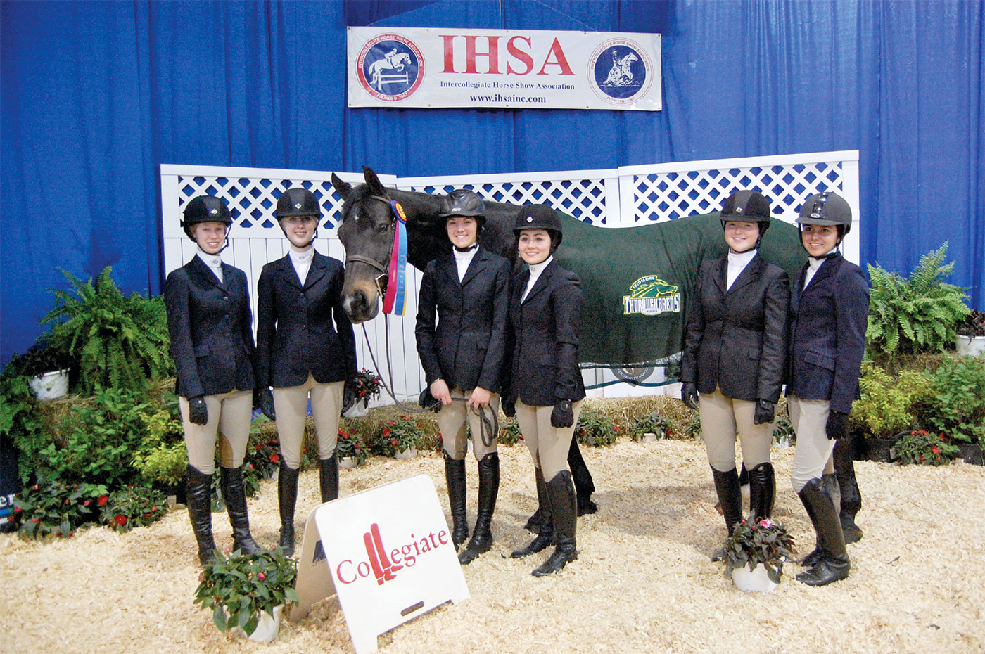 A Guide to Horse Donations The Plaid Horse Magazine