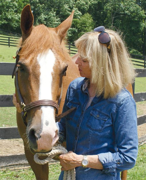 A Guide to Horse Donations The Plaid Horse Magazine