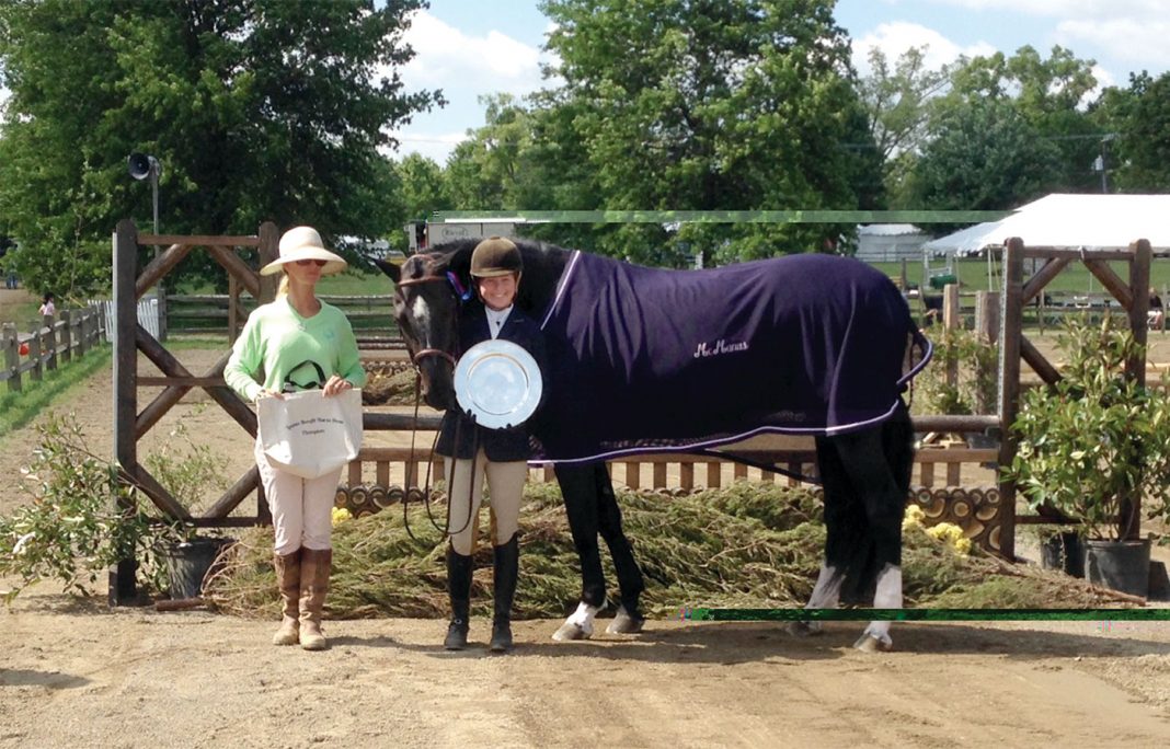 A Guide to Horse Donations The Plaid Horse Magazine