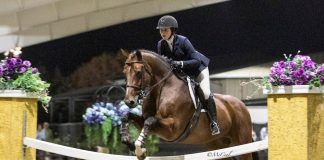 Julia Stone and Let’s Go Rise to the Top of the 2019 NHSAA/ASPCA Maclay Regional Championships – Region 8