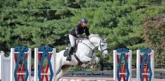 Olympic Gold Medalist Will Simpson Showcases Flatwork and Gymnastics for Show Jumping Success at Rutledge Farm Sessions