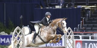 Jordan Spinelli Brought a DIY Attitude and an Appaloosa to WIHS