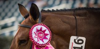 20 Pictures for People Who Unabashedly Love Ribbons